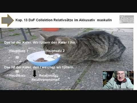 Kap 13 Daf Collektion Grammatik Relativsatz im Akkusativ maskulin