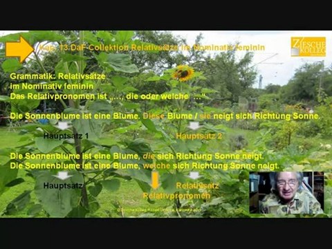 Kap. 13 Daf Collektion Grammatik Relativsatz im Nominativ feminin