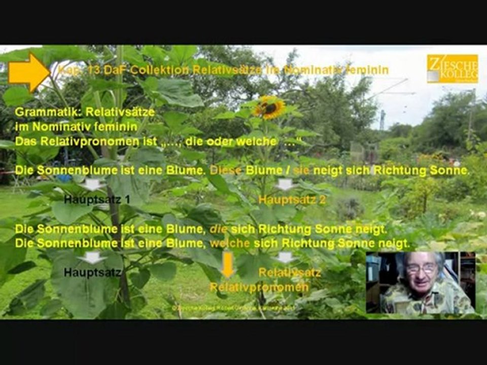 Kap. 13 Daf Collektion Grammatik Relativsatz im Nominativ feminin