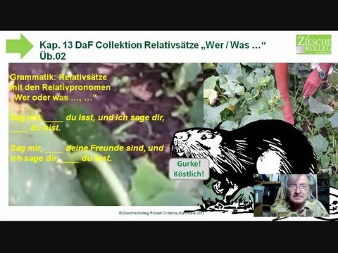 A2 Kap. 13 DaF Collektion Relativsätze mit wer was Übung 02