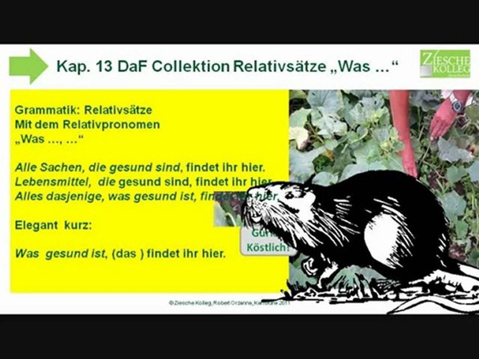 A2 Kap 13  DaF Collektion Relativsätze mit 'Was ..., ...'