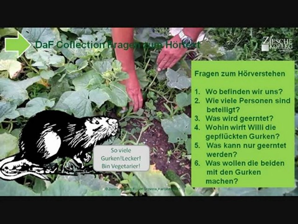 A1-B1 Fragen zum Video Wil erntet seine Gurken
