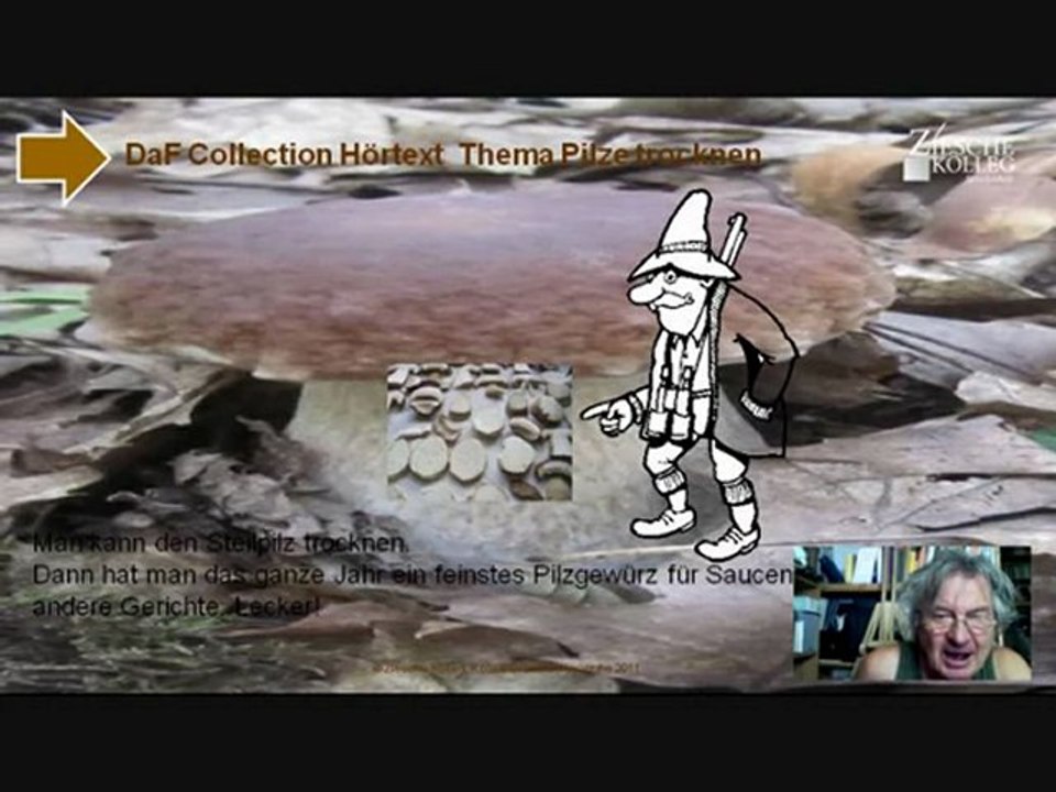 A2-B1 Hörtext Alles um Pilze trocknen Steinpilz