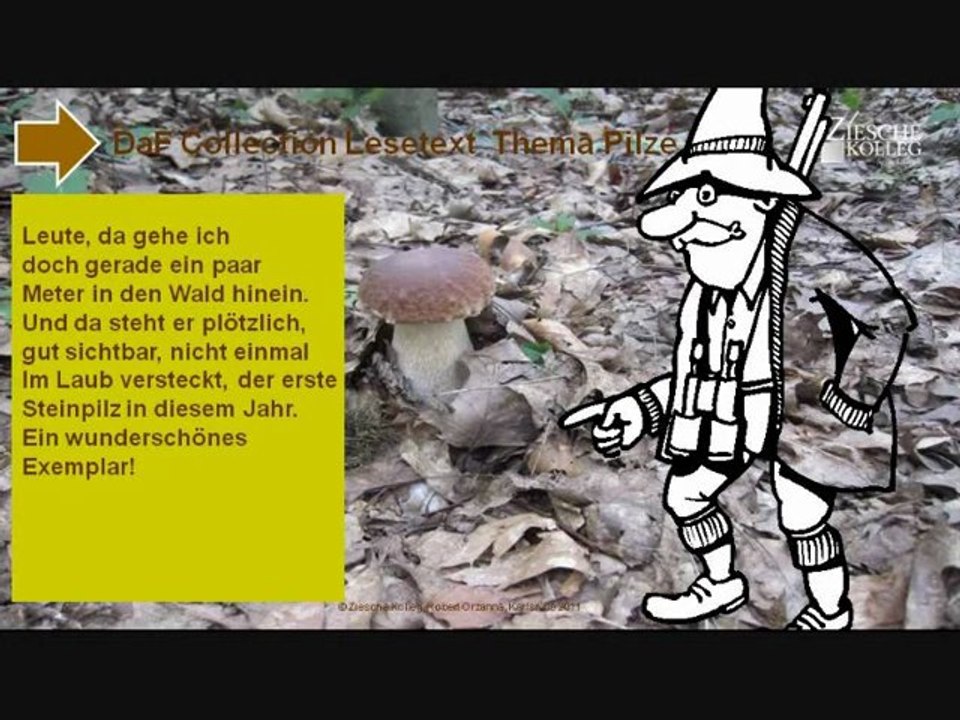 Kurs a1 lesetext ein steinpilz