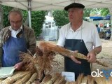 Fête des Terroirs à Agde (34300) le 9 Juin 2012 - Artisans, fabricants de Balais