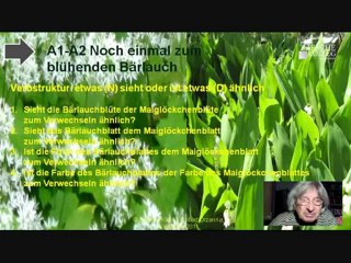 A1-A2 Verbstruktur ähnlich sehen oder sein + D