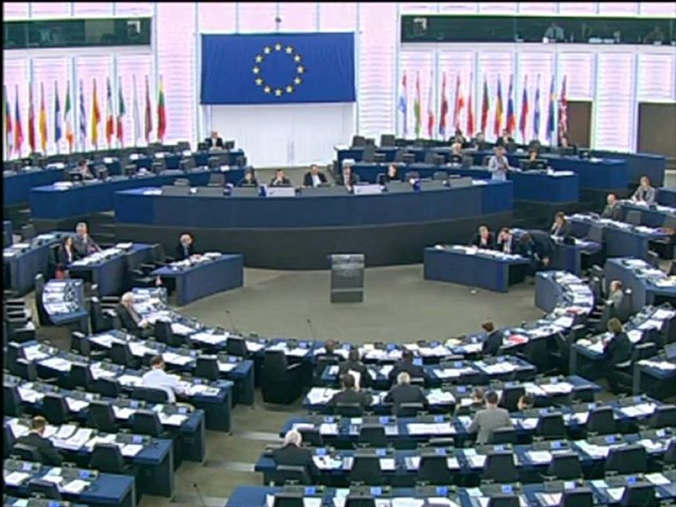 Alexander Graf Lambsdorff on Preparation European Council meeting (28-29 June 2012)