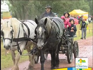Loire-en-fête à Pouilly sous Charlieu