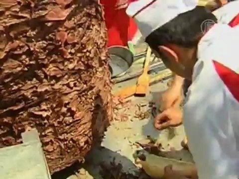 Кебаб весом больше тонны приготовили в Турции