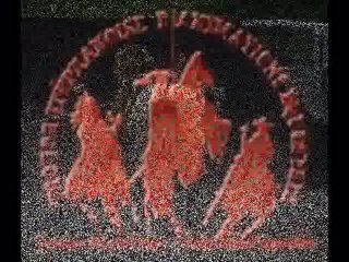 Troupe Stéphanoise d'Animation Equestre