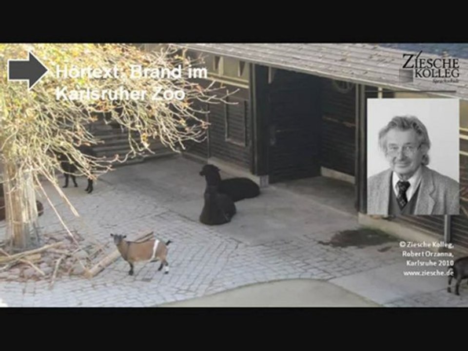 B2 Hörtext Drama im Karlsruher Zoo