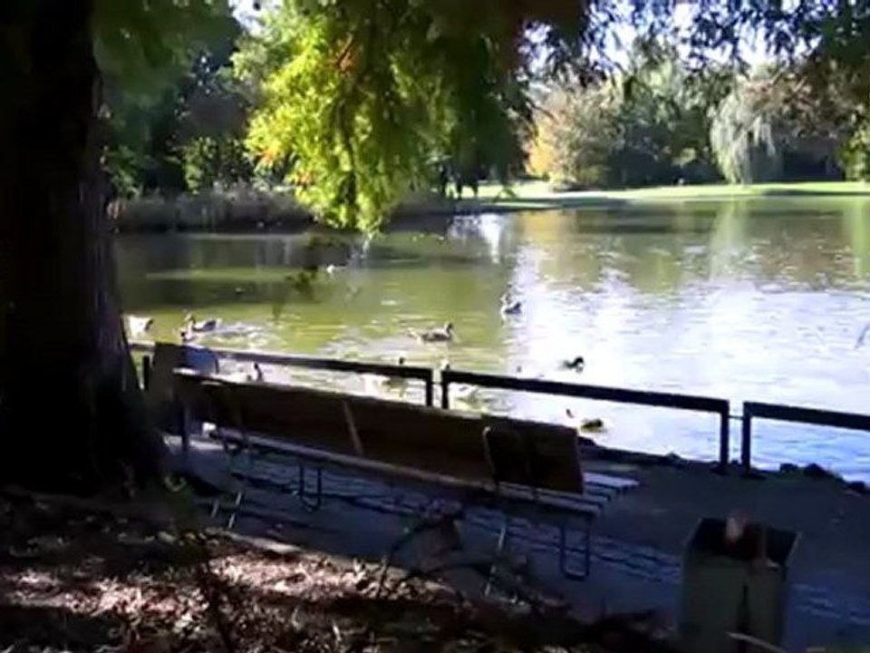 A1- B2 Textproduktion Im Schlosspark am See Entenfütterung