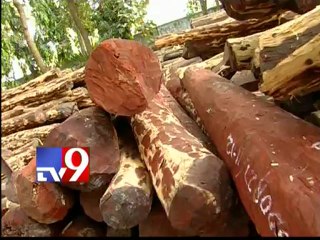 Sandalwood worth Rs.1 crore seized in Tirupathi