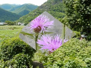 Balade autour de Luchon
