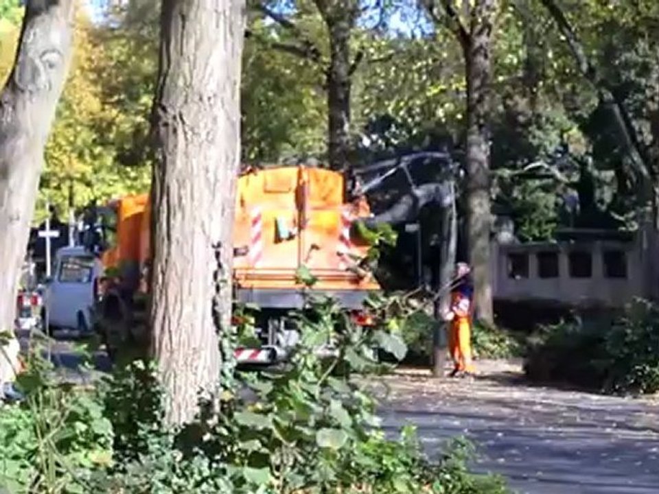 B2-DSH Textproduktion Herbstlaub saugen Großer Einsatz-kleine Wirkung