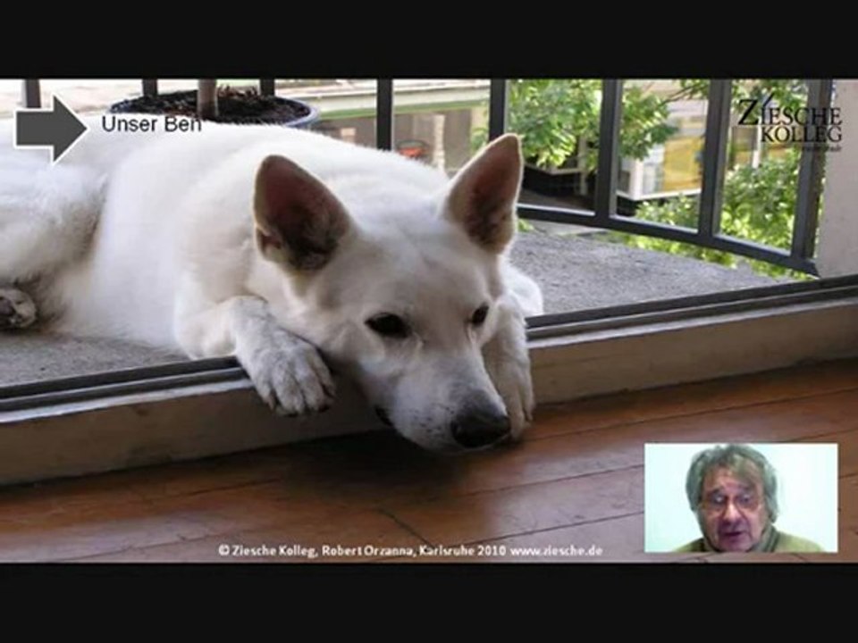 E1 - A1 Hörtext Unser Ben