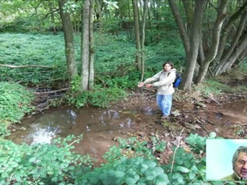 A1-2 Hörtext An der Quelle der Pfinz