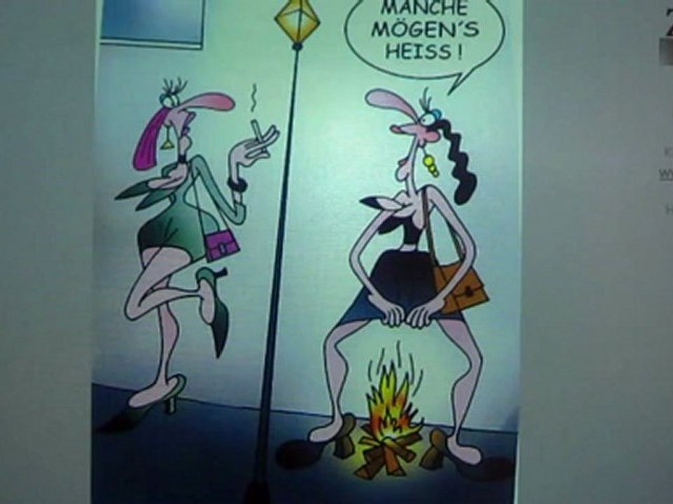 A2-DSH Textproduktion Satire