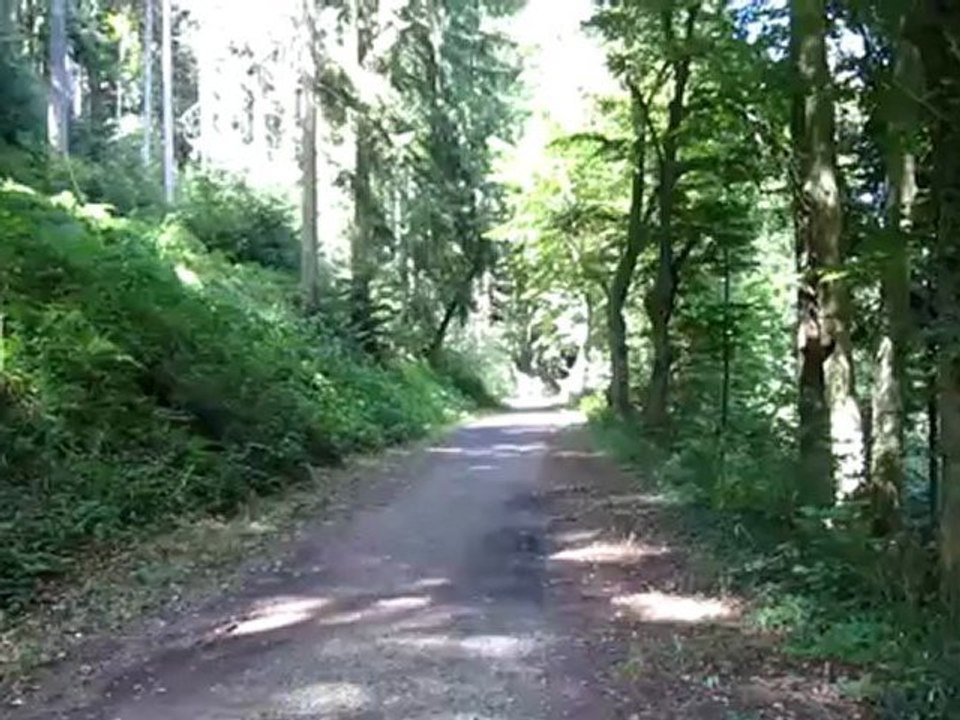 A1 Hörtext A1 Graf-Rhena-Weg