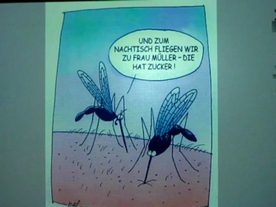 Textproduktion
