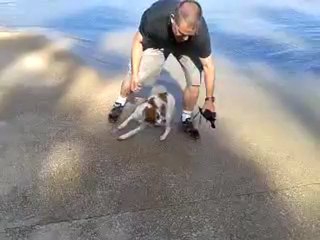 Henji rapport à l'eau