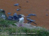 Rencontre avec une espèce menacée