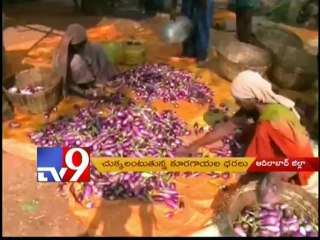 Vegetable prices to hike