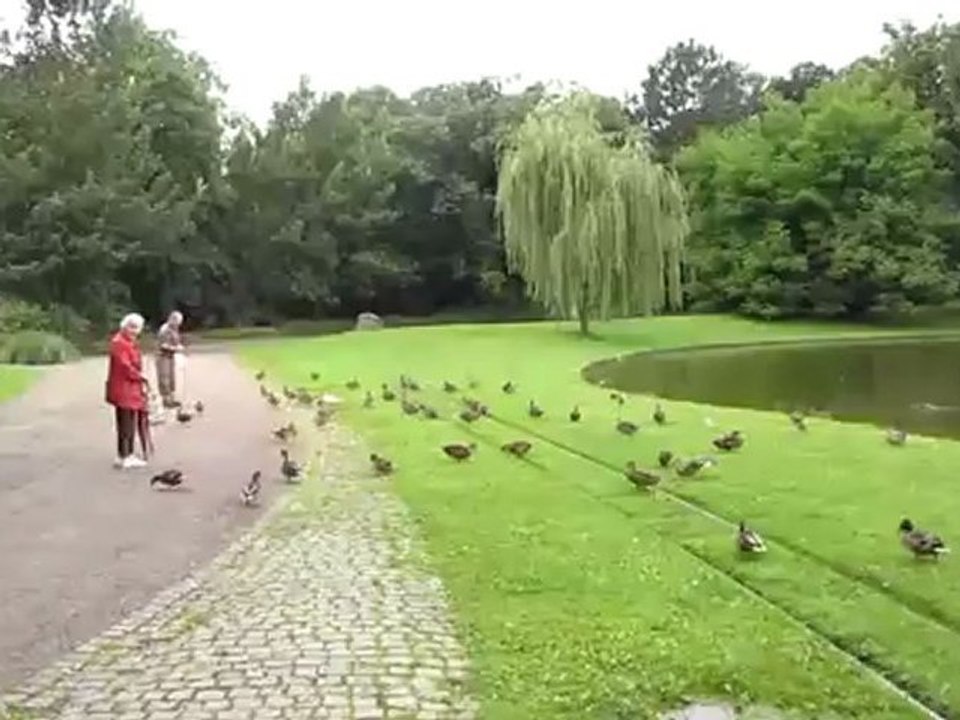 A1 Hörtext A1 Blick auf den Schlossgartensee