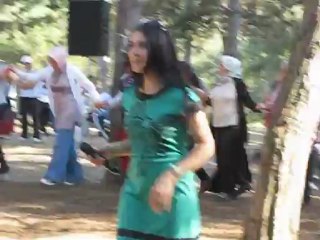 Sevda Gül ( Cıngıllı )