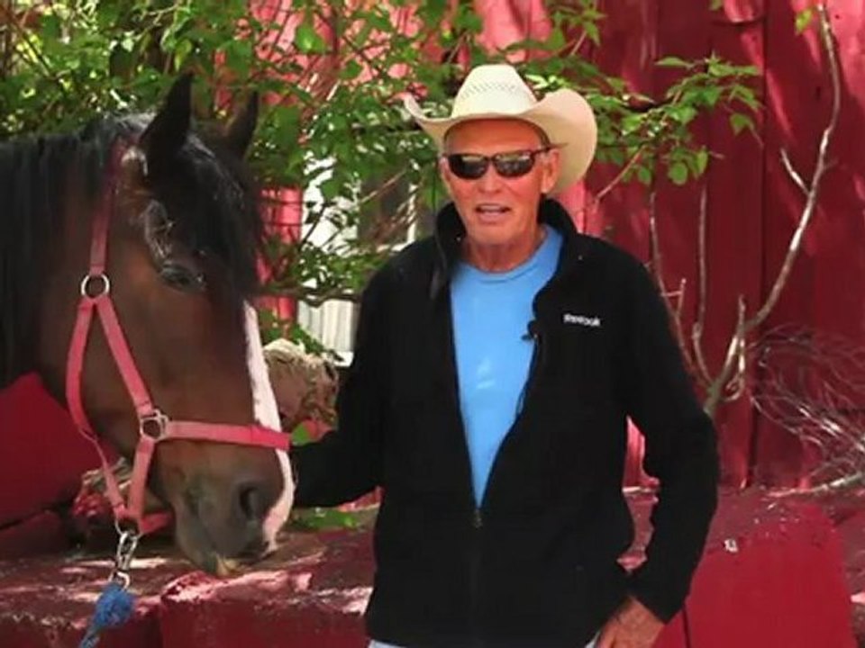 Horseback Riding Ottawa - Why is horseback riding a fantastic family activity?