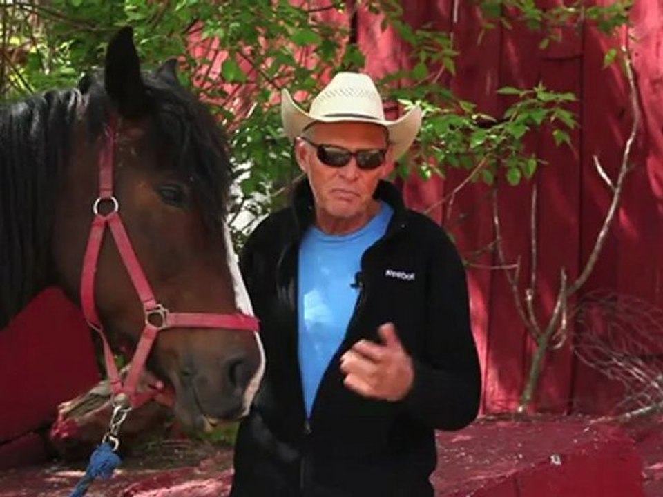 Horseback Riding Ottawa - How fast can your ride while horseback riding?