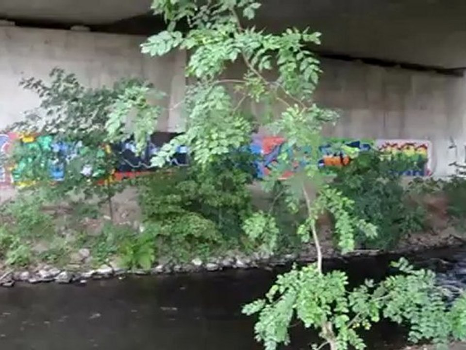 A1 Hörtext A1 Graffiti unter Autobahnbrücke