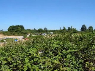 A1 Hörtext A1 Am Baggersee