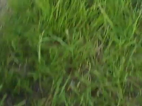 THT Cotentin Maine - Pose des éléments des pylônes