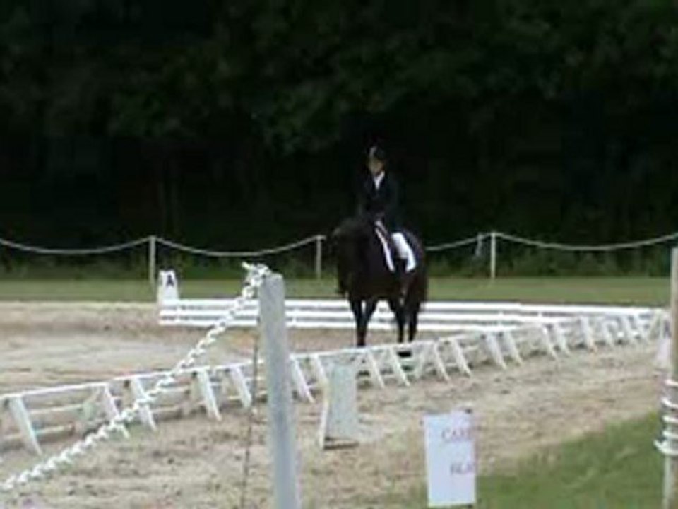 dress fontenay Romané