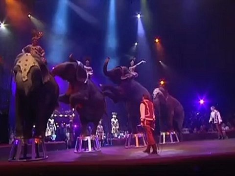 Le nouveau monde du cirque Arlette Gruss (Troyes)