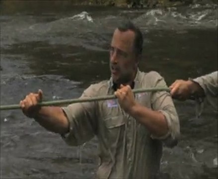 LA PLUS GRANDE FORET DU MONDE EN 3D