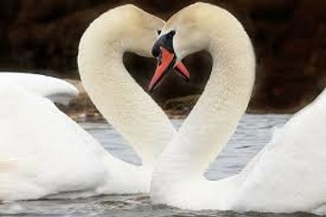 masaj salonu masoz kadıköy istanbul anadolu  masaj salonlar