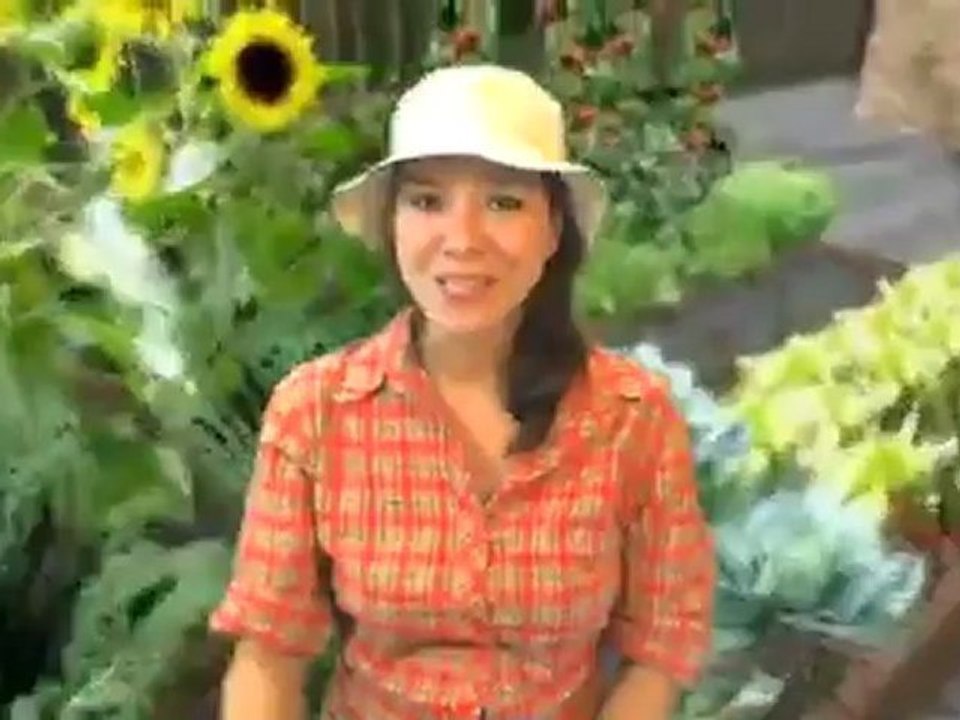 Ceramic Dogwood Bird Bath / Cream & Pink & Stake/ Handcrafted on Sturdy Wrought-iron Stake Birdbath