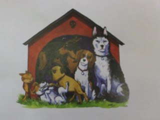 COUP DE COEUR #4 - Le best-of des Comics cette semaine