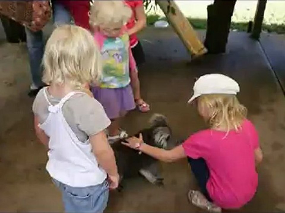 PERTH ZOO