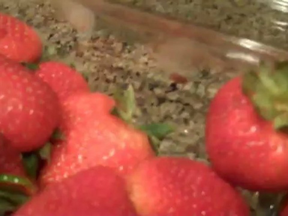 I saw Jesus in my strawberry box