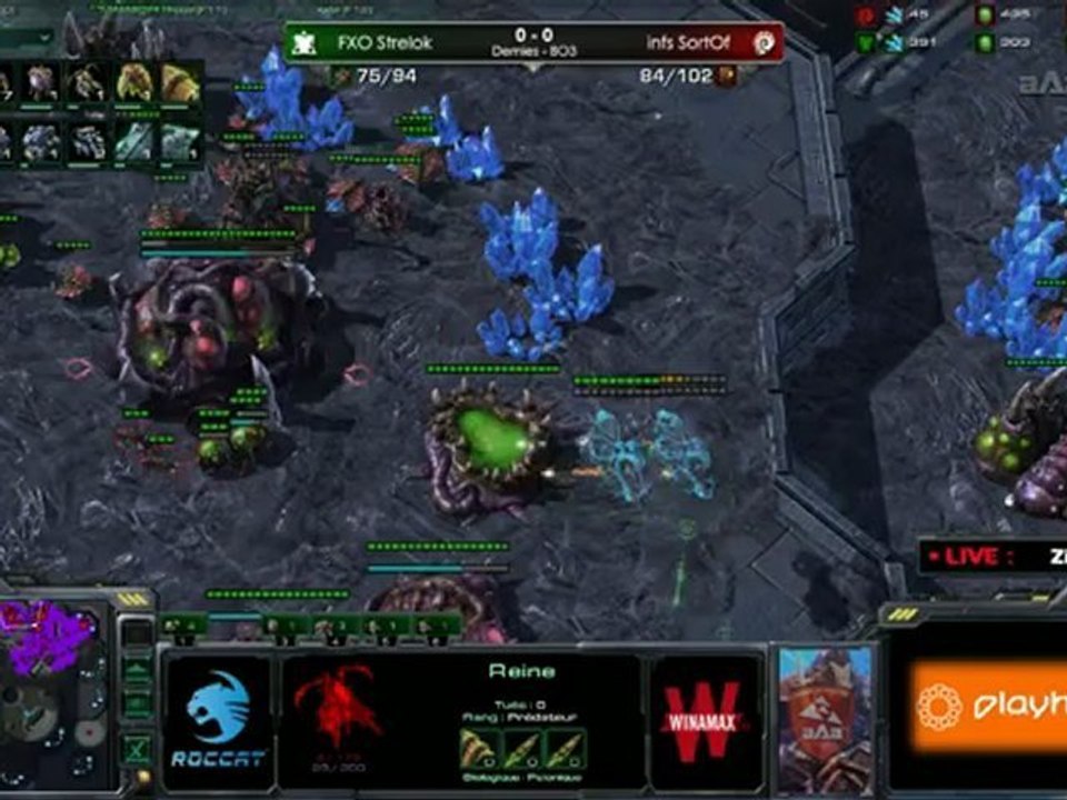 Playhem Daily #263 - Starcraft 2