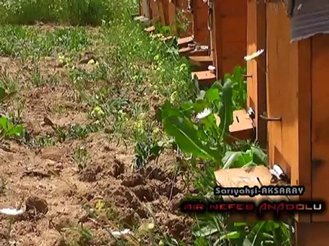 Bir Nefes Anadolu Sarıyahşi Kısım 2 (Yönetmen) Eren Taylan