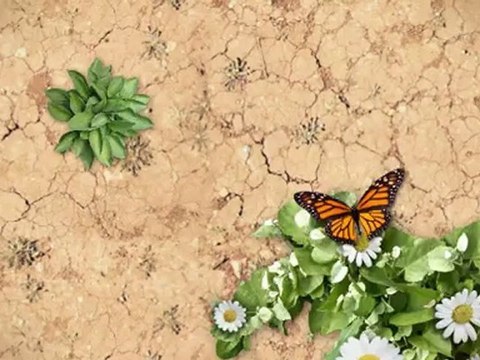 Ask Cheap Psychic Medium or Phychic a Question