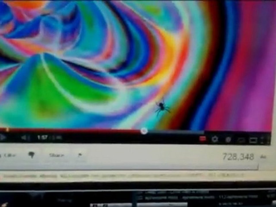 Araginée sur un écran d'ordinateur (Dimension Dubstep)