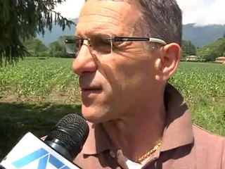 maltempo danni in pedemontana