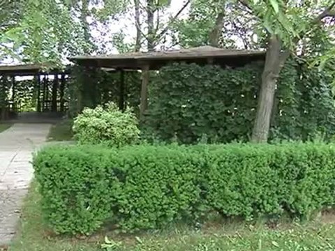 ristoratore pestato e rapinato