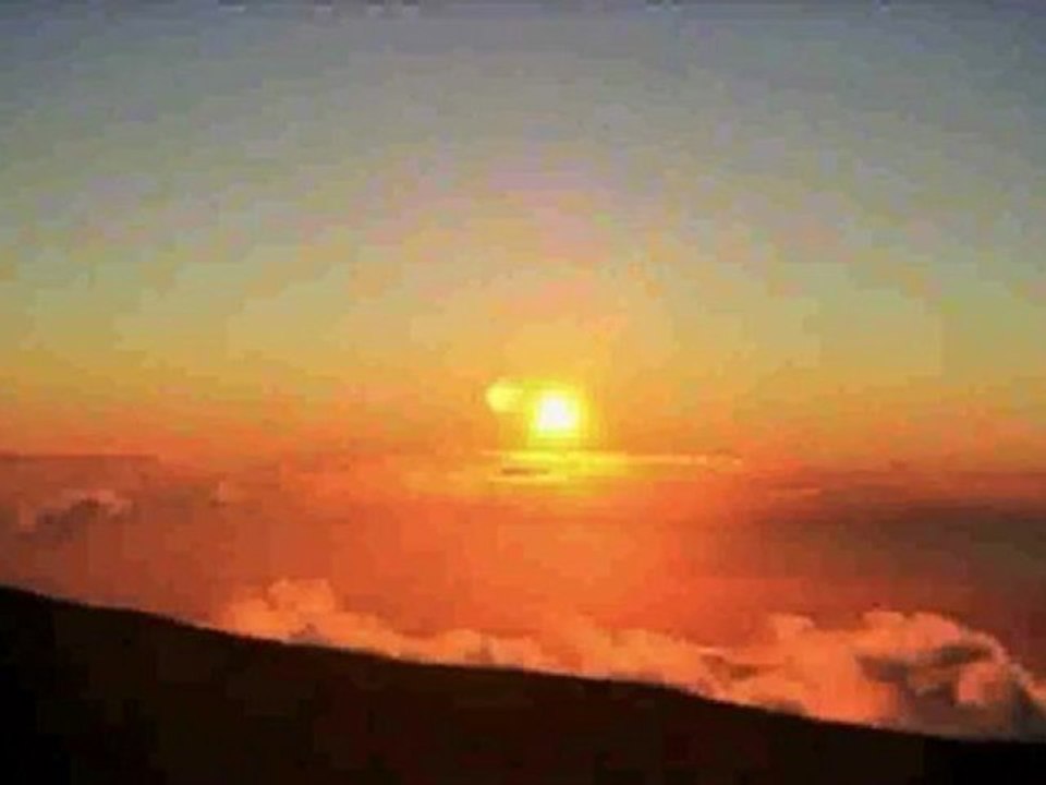 THE NATURE OF THE WORLD - Alta gracia