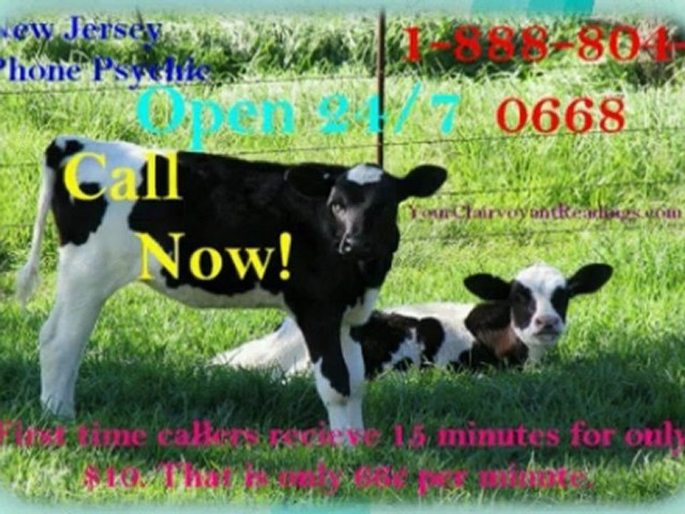 Short Cheap New Jersey Phone Psychic Medium Reading